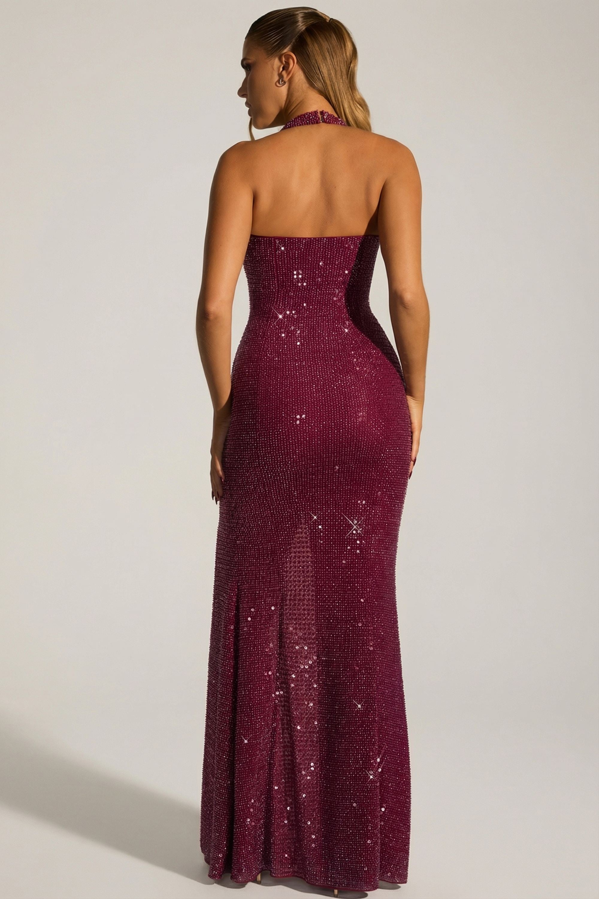 fitted lace wedding dress Sansel Embellished Halterneck Gown in Plum