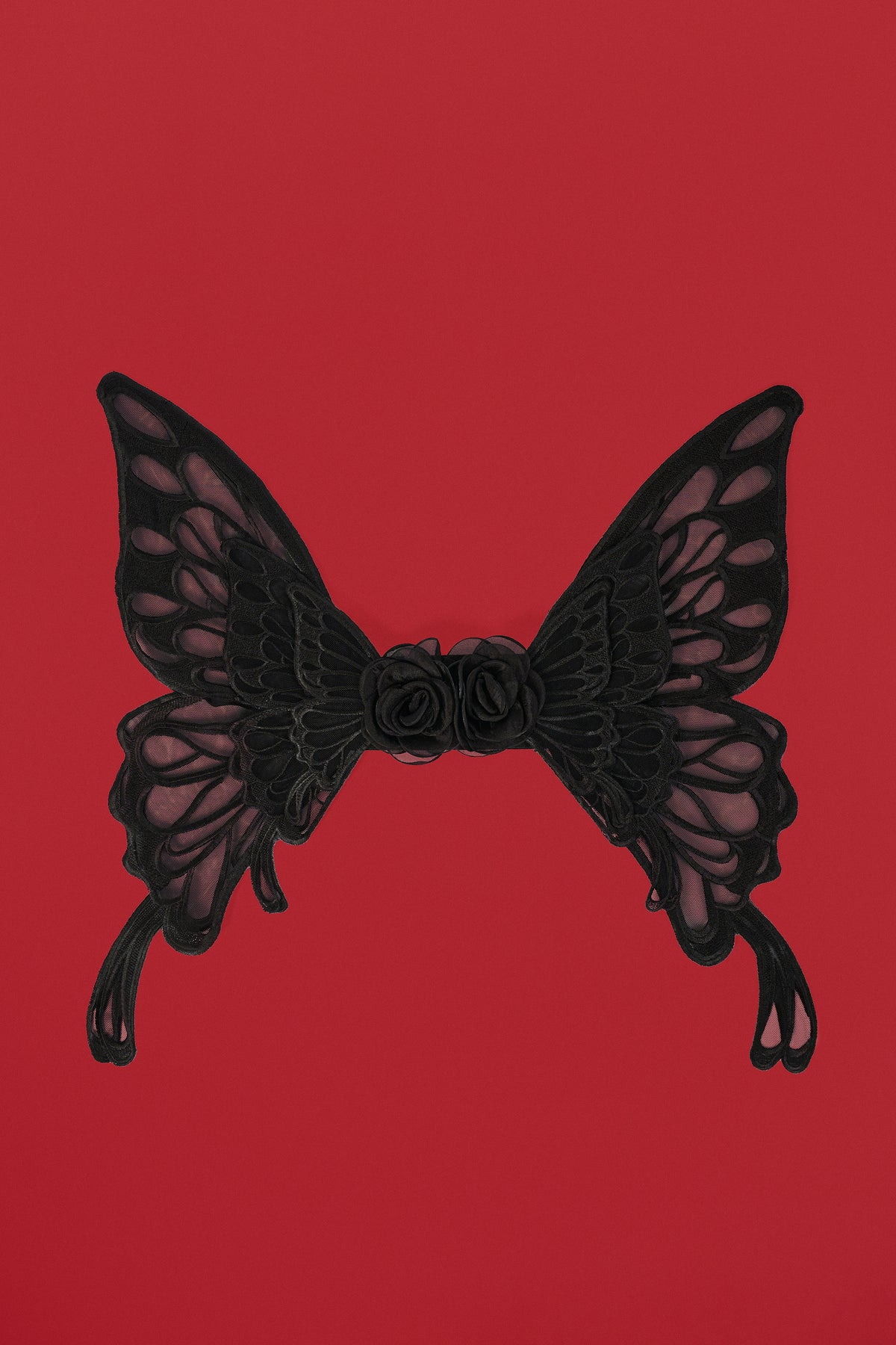 Angel Wings in Black
