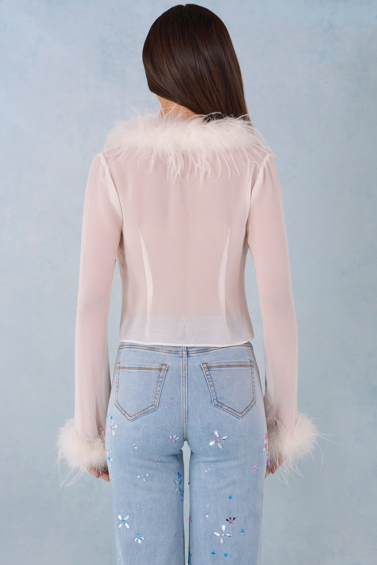 Feather Trim Sheer Top in Ivory - 4