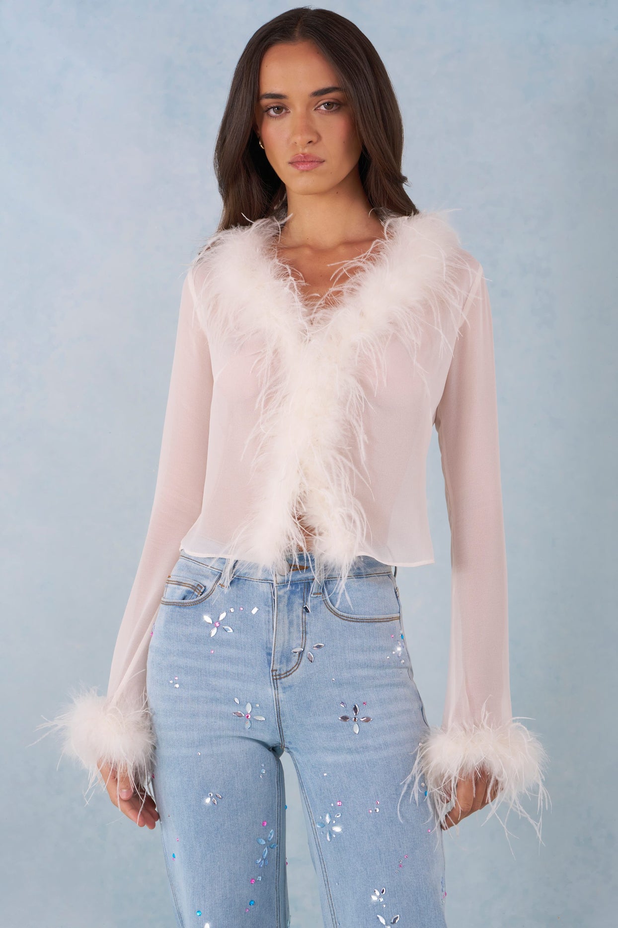 Feather Trim Sheer Top in Ivory - 6