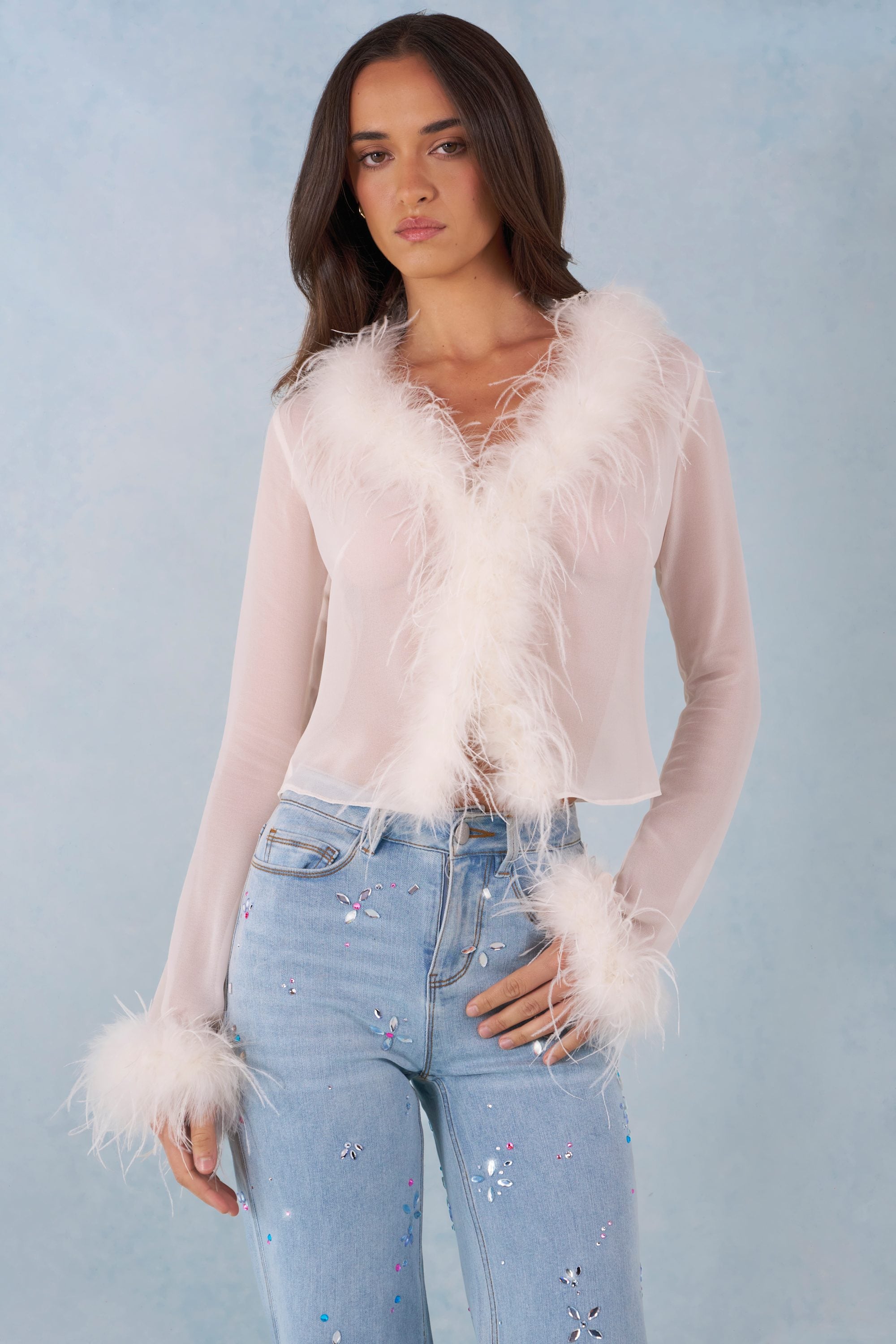 Feather Trim Sheer Top in Ivory - 1