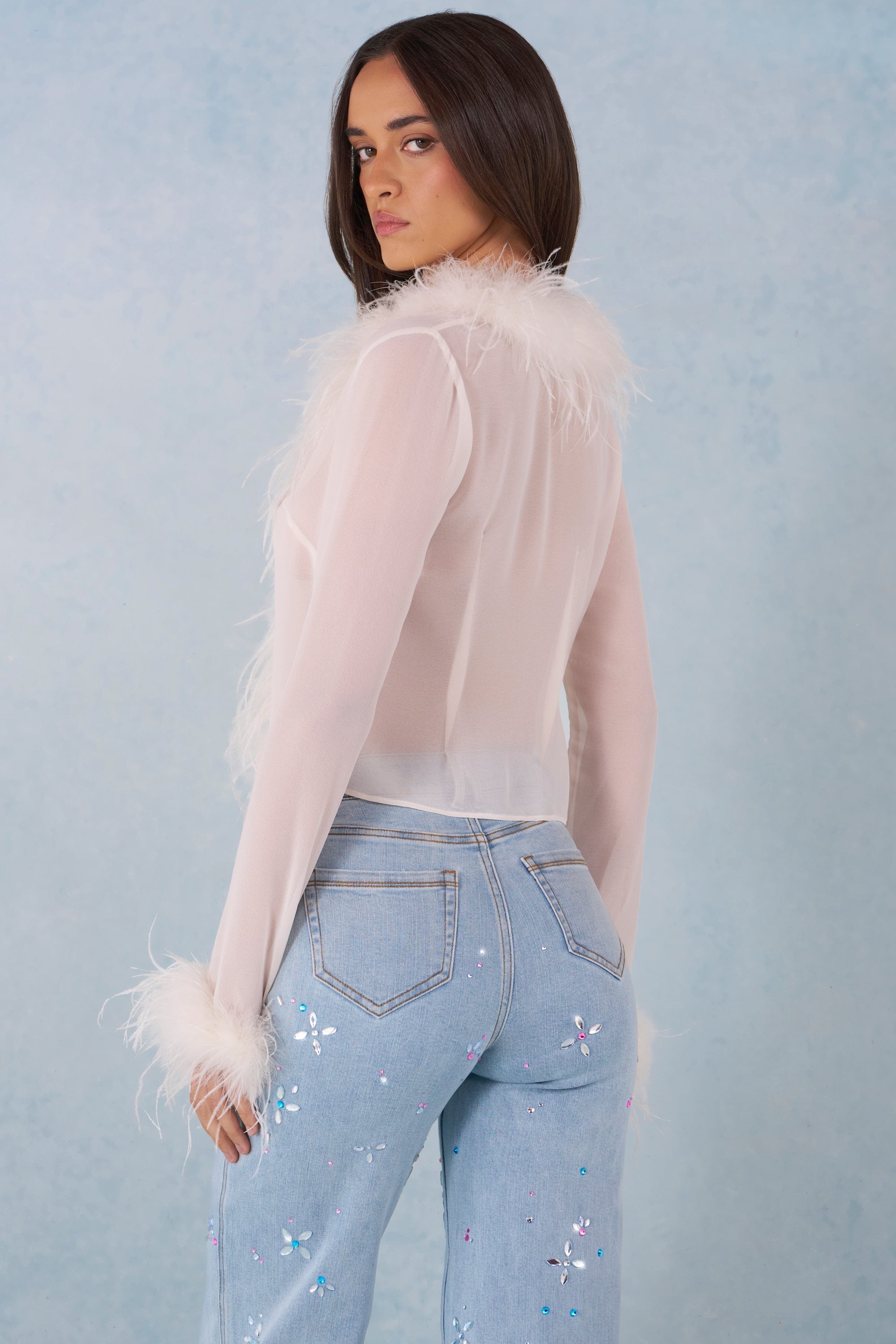 Feather Trim Sheer Top in Ivory - 2