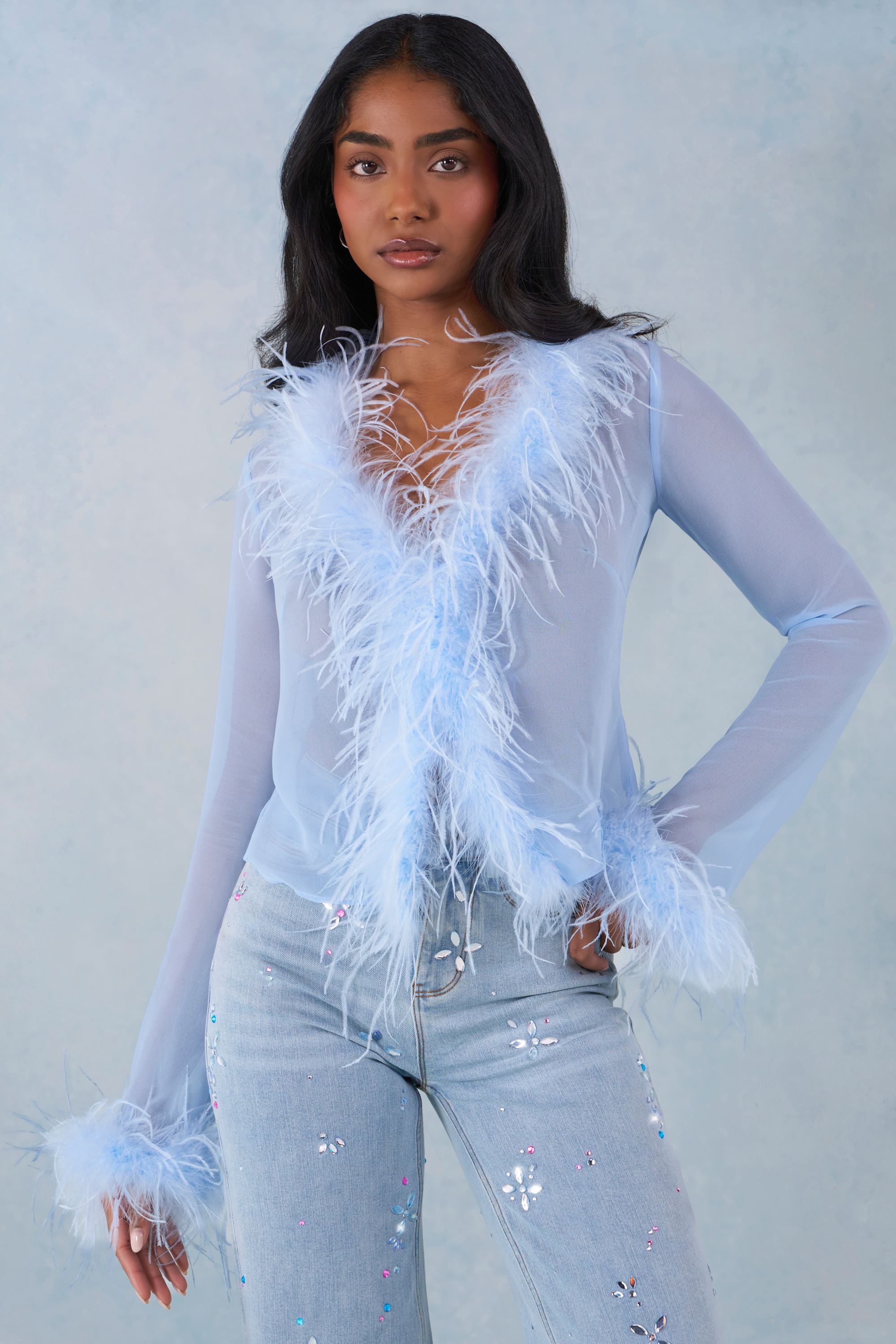Feather Trim Sheer Top in Soft Blue - 1