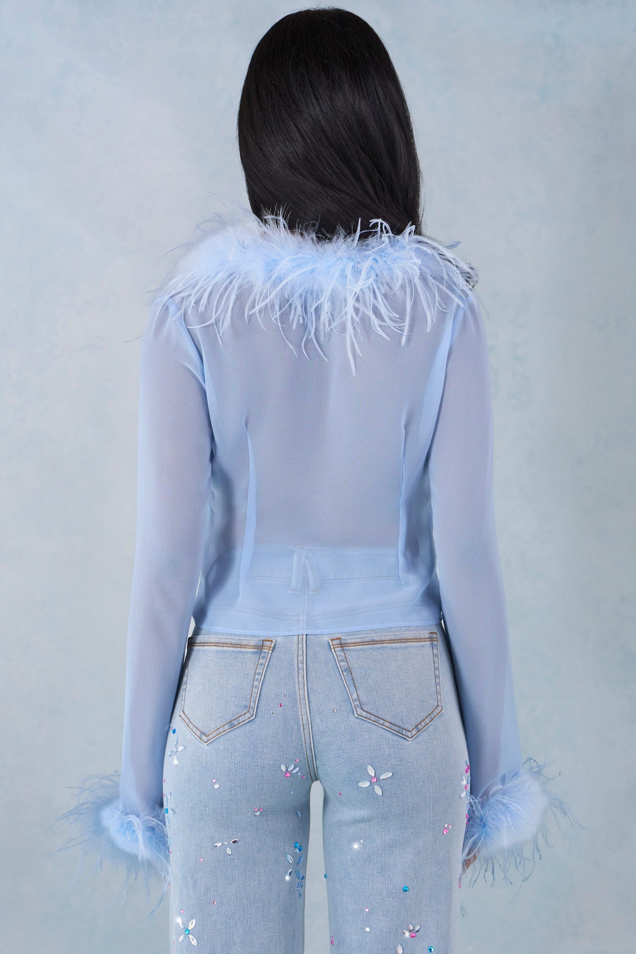Feather Trim Sheer Top in Soft Blue - 6