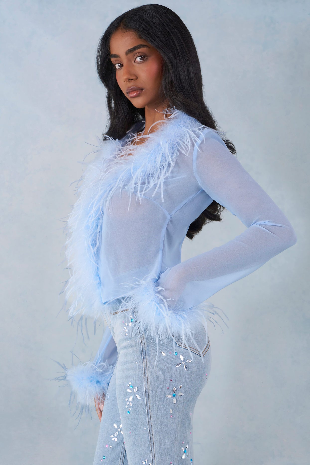 Feather Trim Sheer Top in Soft Blue - 4