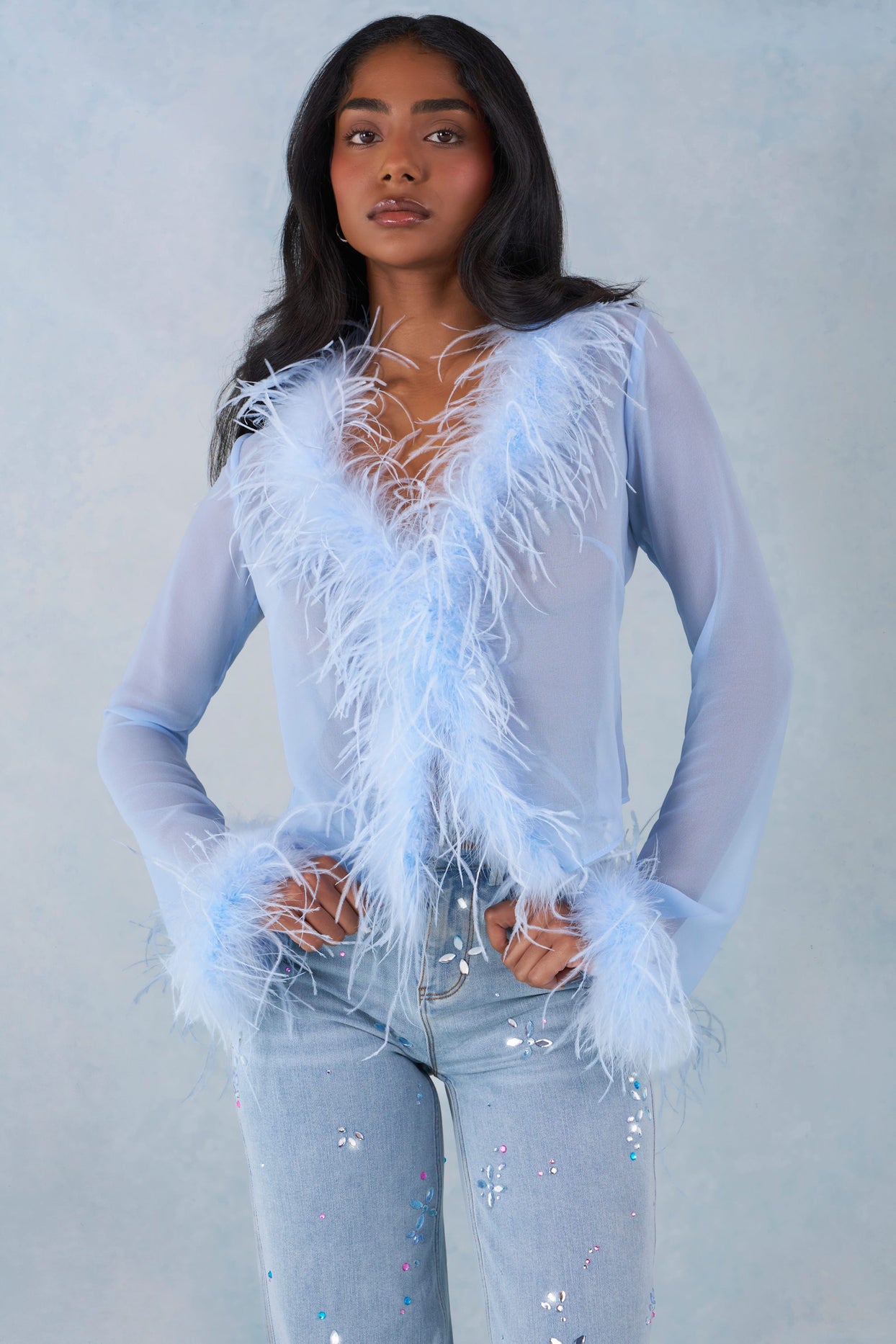 Feather Trim Sheer Top in Soft Blue - 7
