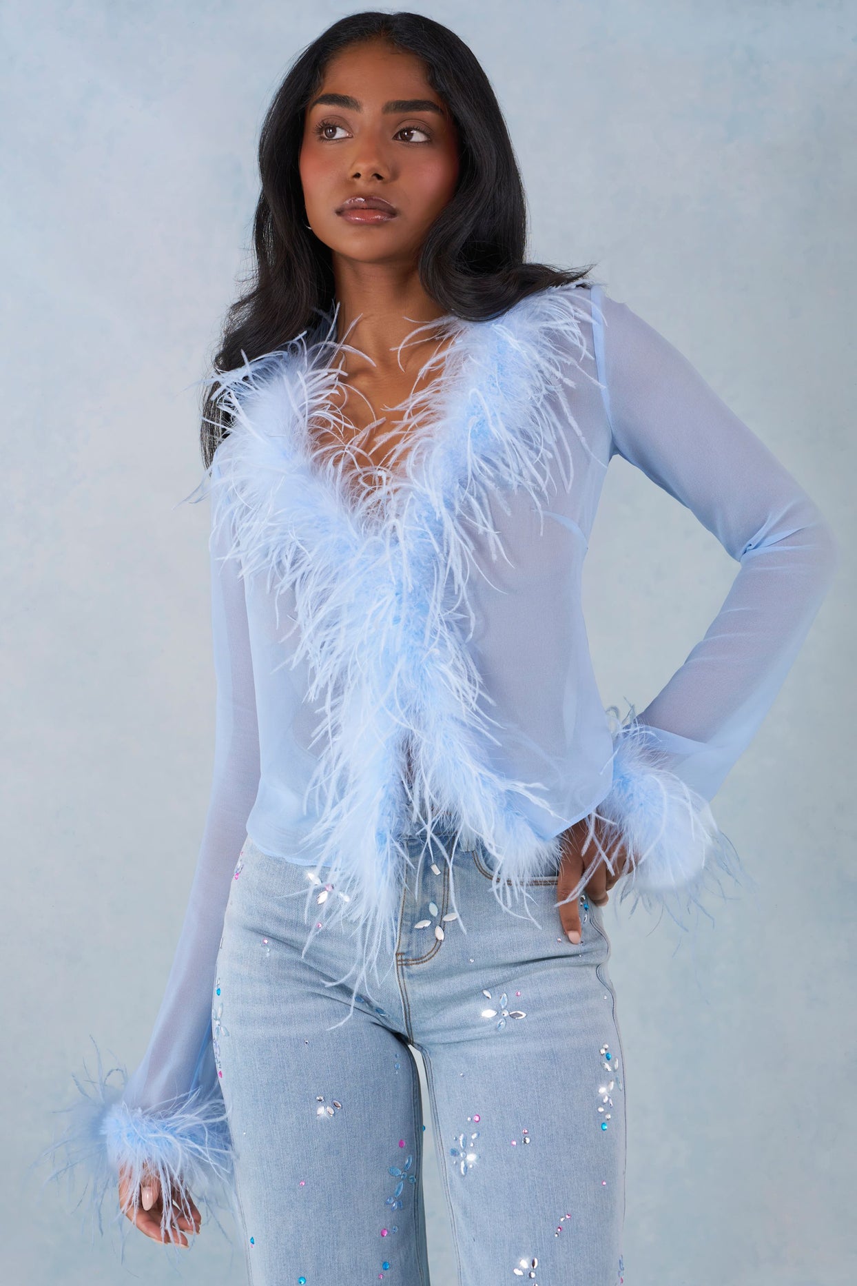Feather Trim Sheer Top in Soft Blue - 8