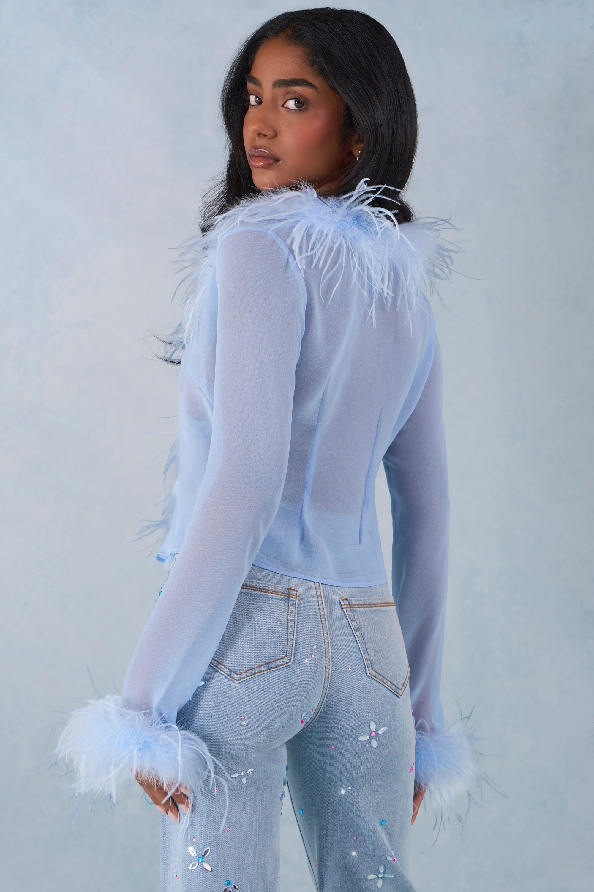 Feather Trim Sheer Top in Soft Blue - 2