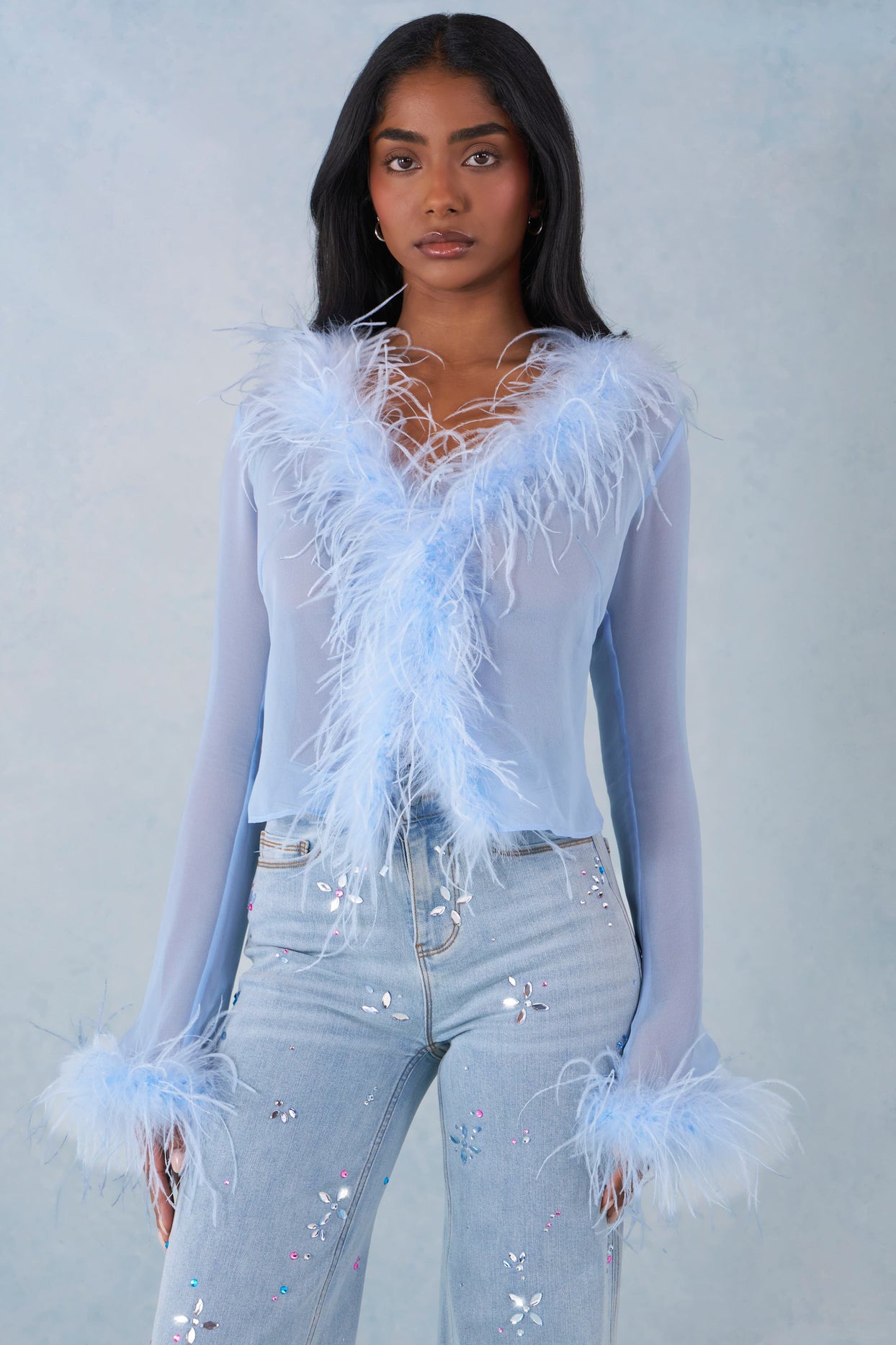 Feather Trim Sheer Top in Soft Blue - 5