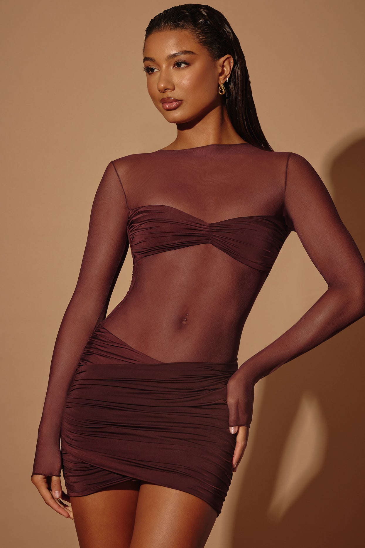 Sheer Panelled Long Sleeve Mini Dress in Brown