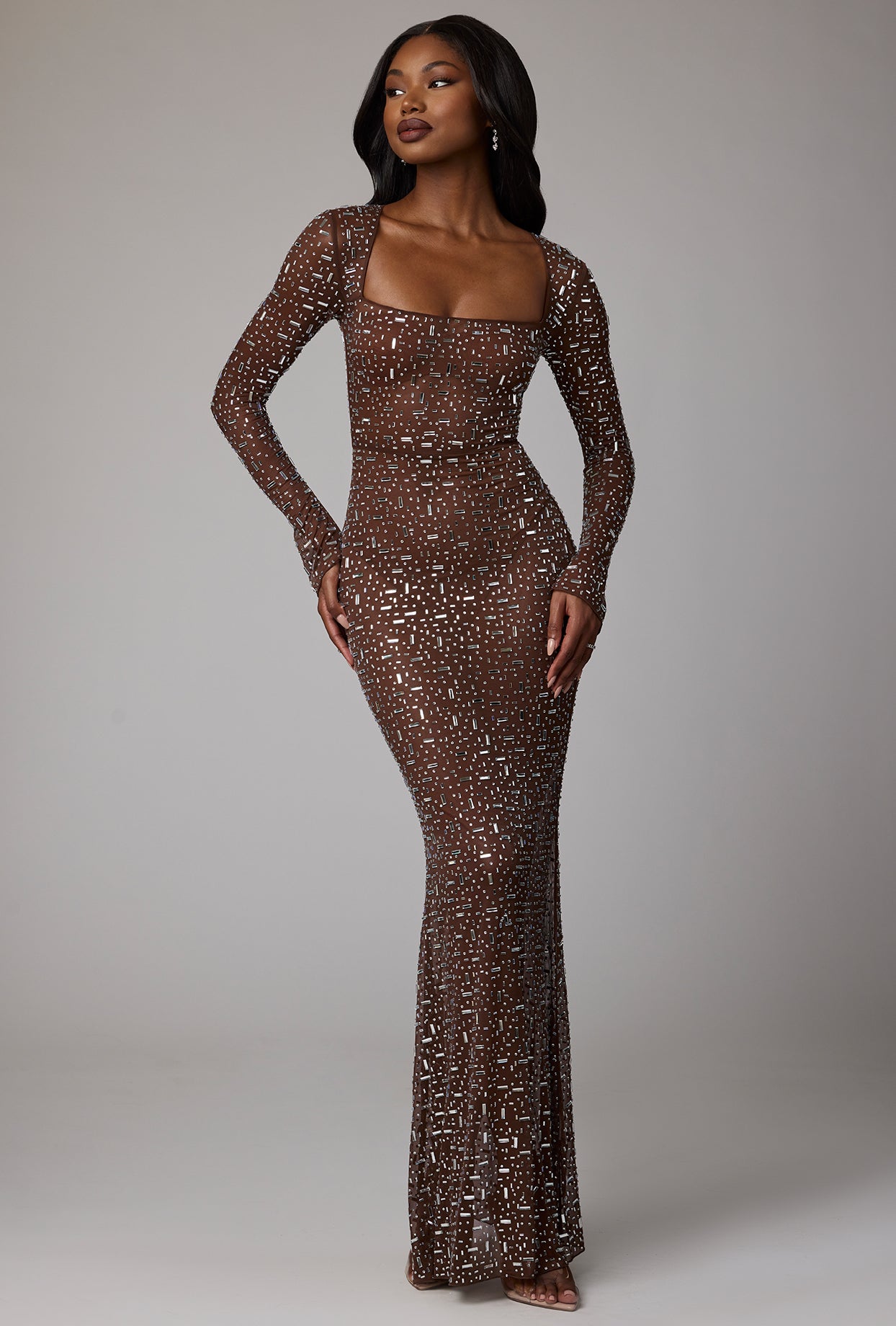 Isabeau Sheer Embellished Long Sleeve Evening Gown in Deep Cocoa