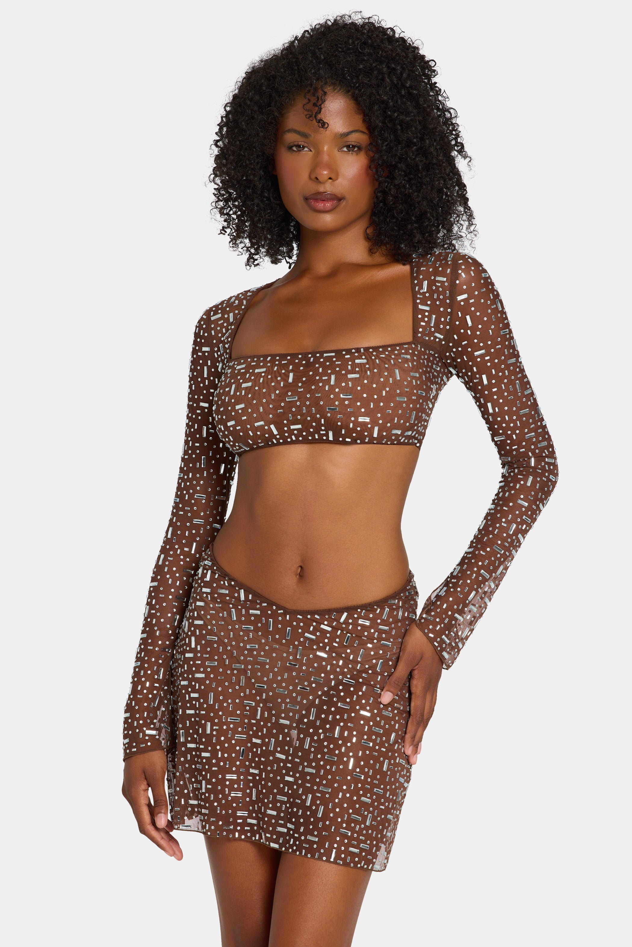 Sheer Embellished Long Sleeve Crop Top in Deep Cocoa