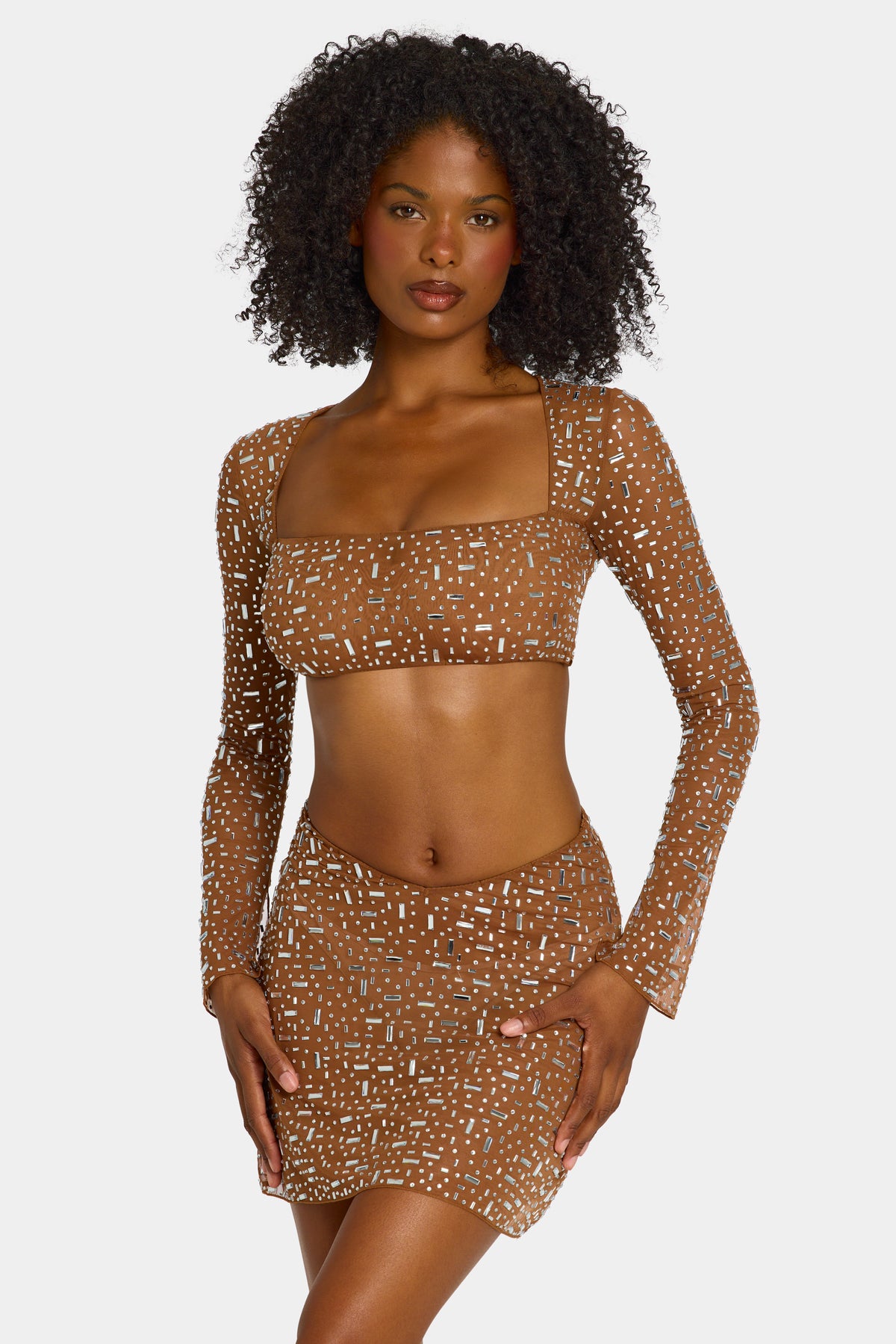 Sheer Embellished Long Sleeve Crop Top in Mocha - 1