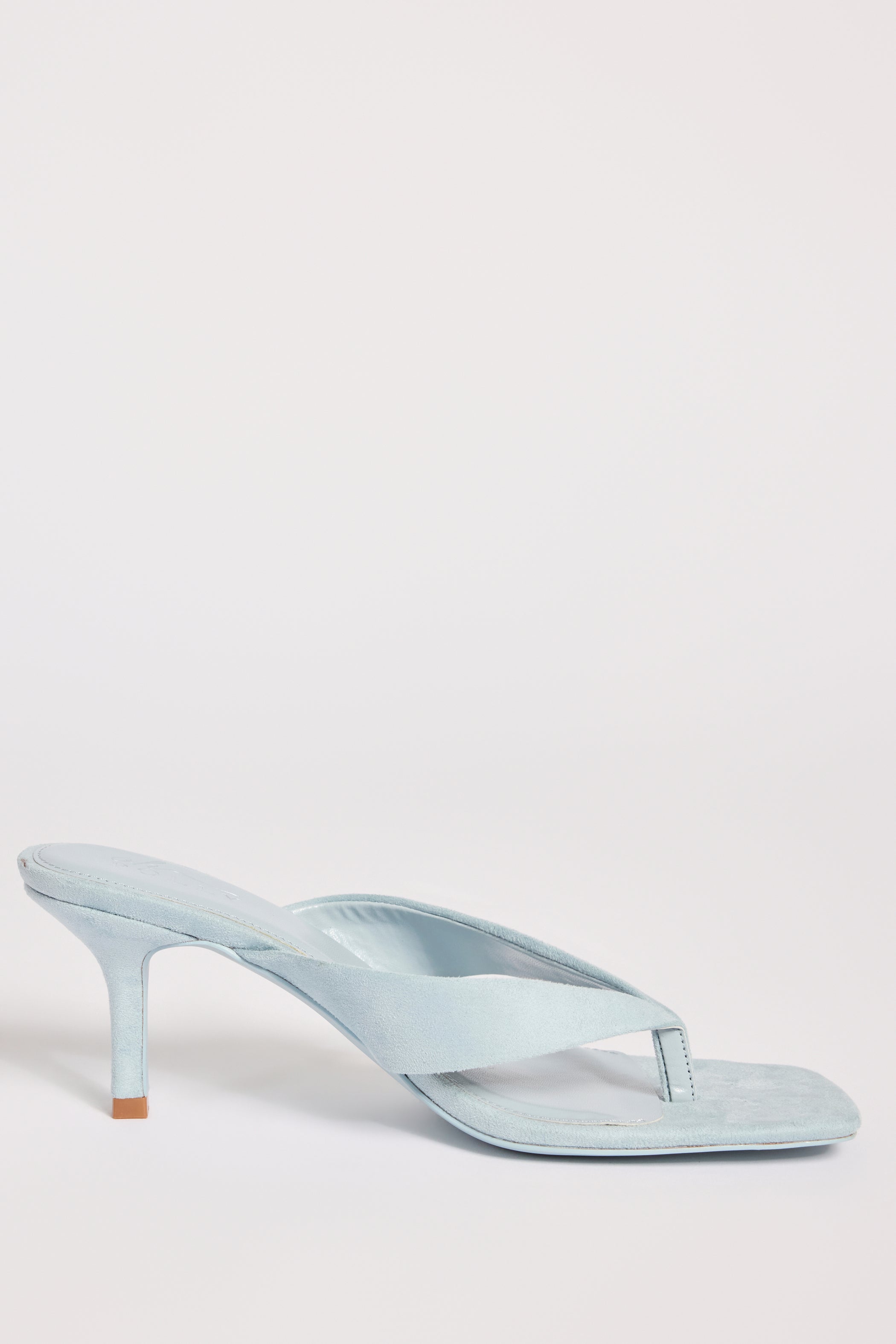 Heeled Thong Sandals  in Arctic Blue